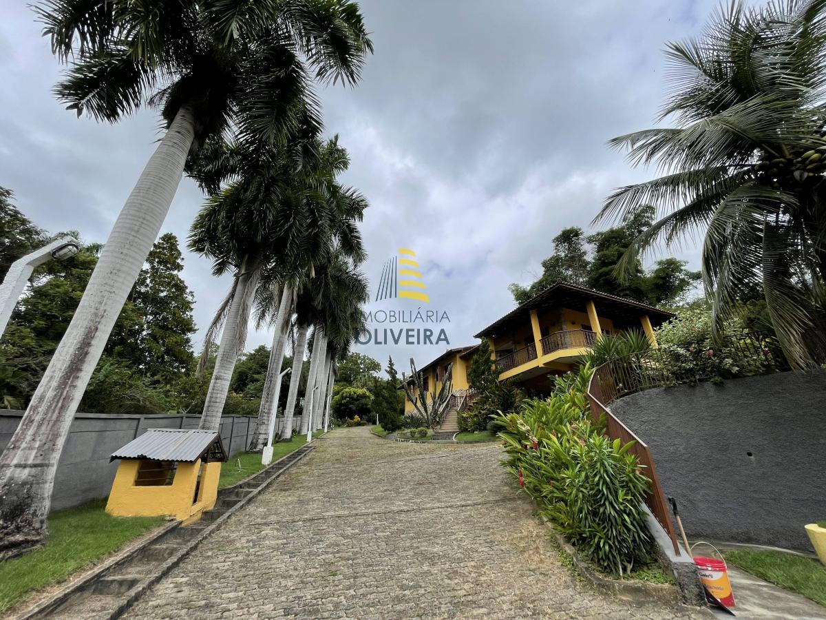 Chácara - Volta Grande - Imobiliária Oliveira