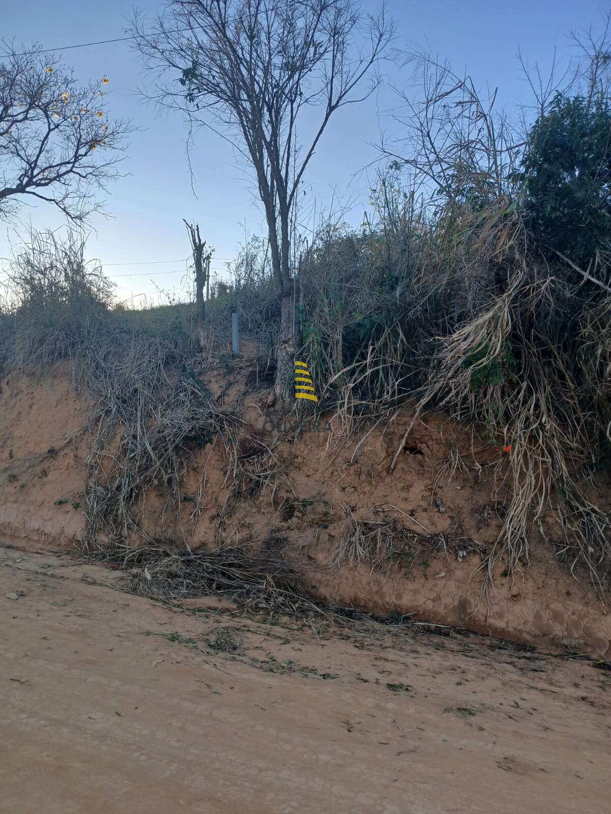 Terreno - Jardim Paraiso - Imobiliária Oliveira