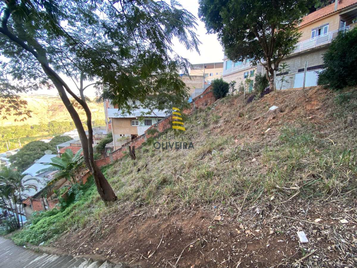 Terreno - Santa Rosa - Imobiliária Oliveira