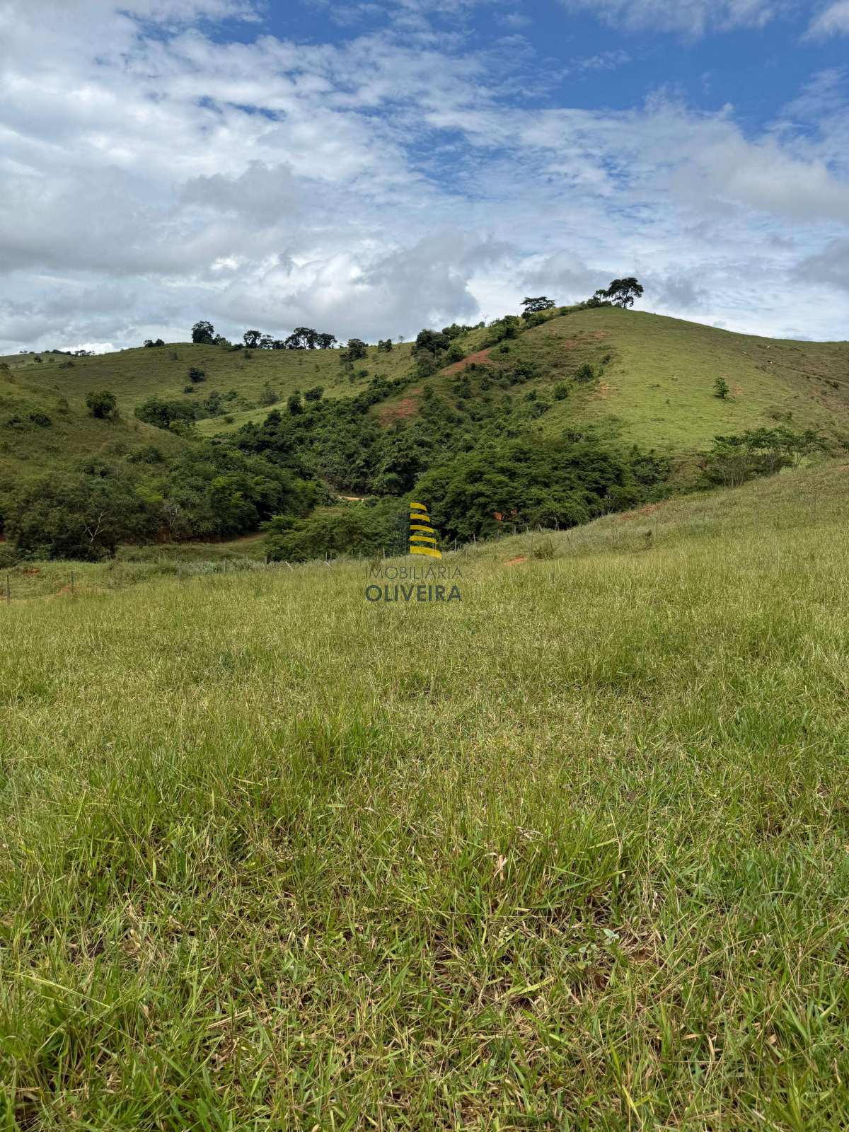 Terreno - Torrente - Imobiliária Oliveira